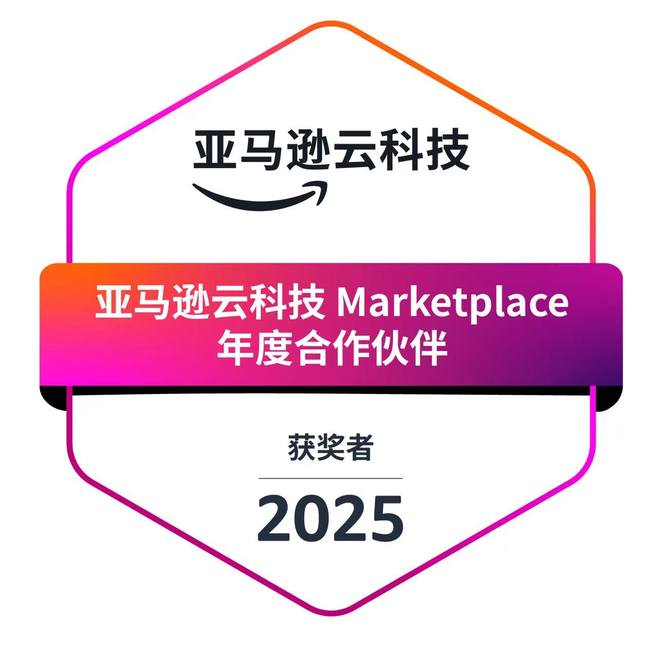亚马逊云科技 Marketplace 年度合作伙伴 2025 获奖者